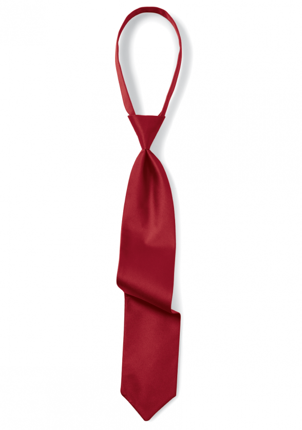 Youth Regular Cinch Satin Tie