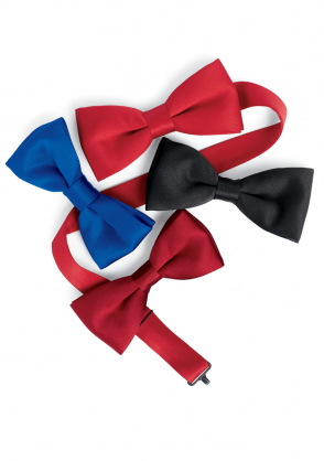 Youth to Adult Satin Banded Bow Tie 