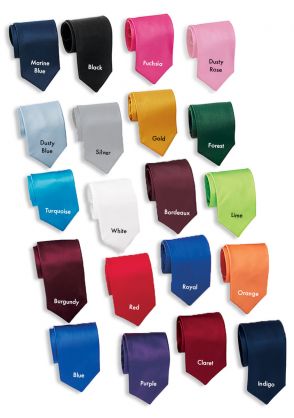 Skinny Cinch Satin Necktie in All Colors